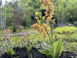 マルタガーデン