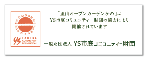 YS市庭コミュニティー財団